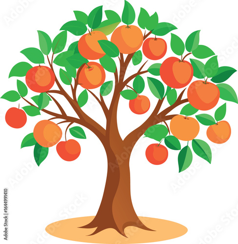 vector illustration of an orange tree