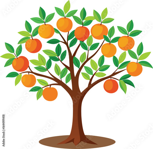 orange tree with fruits