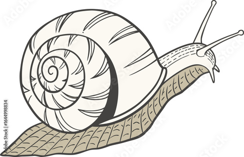 Snail Garden Animal Illustration. Detailed Snail Wildlife Nature Artwork. High Quality Realistic Snail Animal Design. Realistic Brown Snail Wildlife Illustration. Realistic Snail Nature Scene Artwork