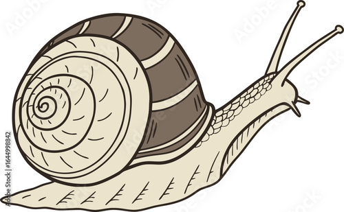 Snail Garden Animal Illustration. Detailed Snail Wildlife Nature Artwork. High Quality Realistic Snail Animal Design. Realistic Brown Snail Wildlife Illustration. Realistic Snail Nature Scene Artwork