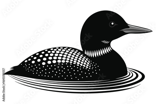 Monochrome loon swimming peacefully with distinct plumage floats smoothly in water showing 