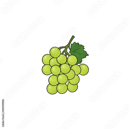 grapes isolated on white