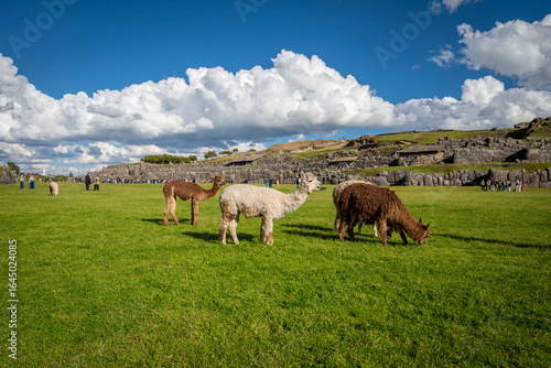 Sacsayhuaman