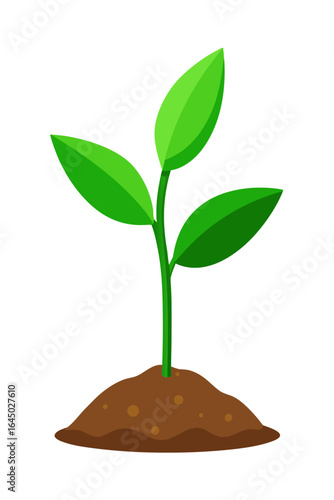 Vibrant green seedling sprouts from rich soil, symbolizing growth, new beginnings, and organic development, perfect for environmental campaigns and natural brand messaging.