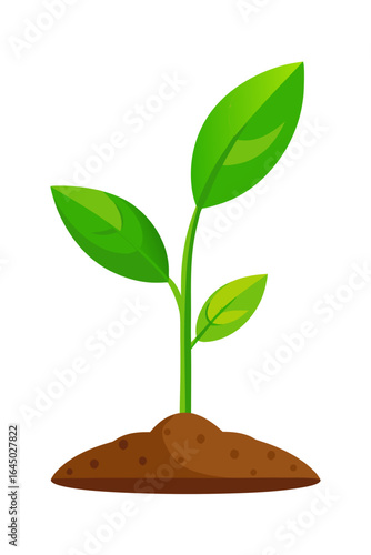 Vibrant green seedling sprouts from rich soil, symbolizing growth, new beginnings, and organic development, perfect for nature, business, or environmental themes.