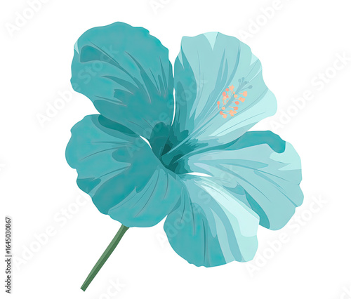 Vibrant teal hibiscus