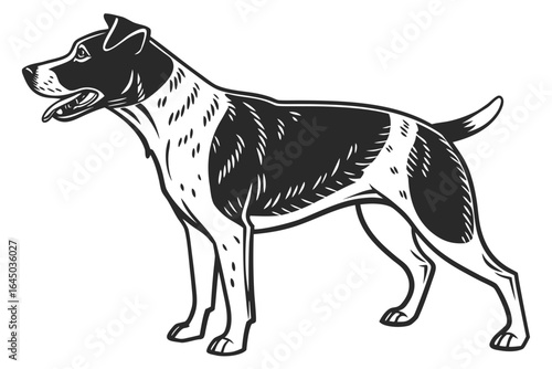 Black and white illustration of a standing terrier dog isolated on white background