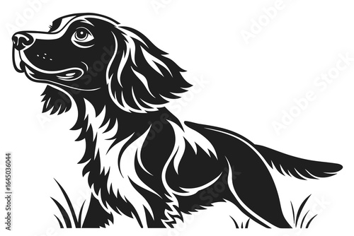 Elegant black and white spaniel dog illustration isolated on white background