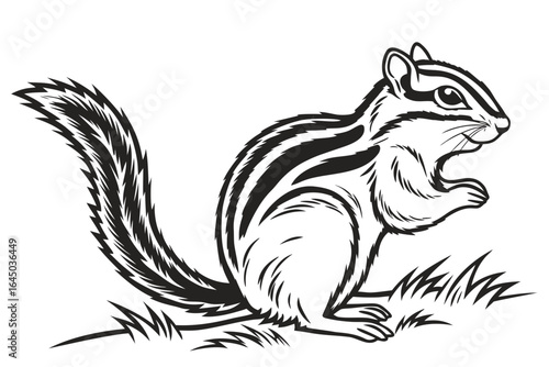 Wallpaper Mural Cute chipmunk sitting on grass isolated on white background Torontodigital.ca