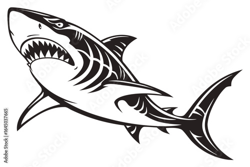 Great white shark with open jaws isolated on white background illustration