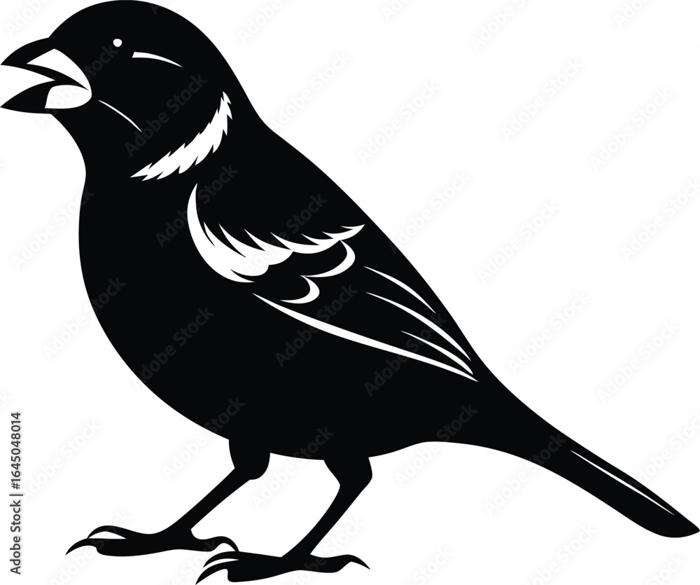 Fototapeta premium Black Sparrow Bird Silhouette Vector Art Illustration