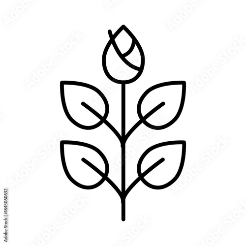 Foliage icon