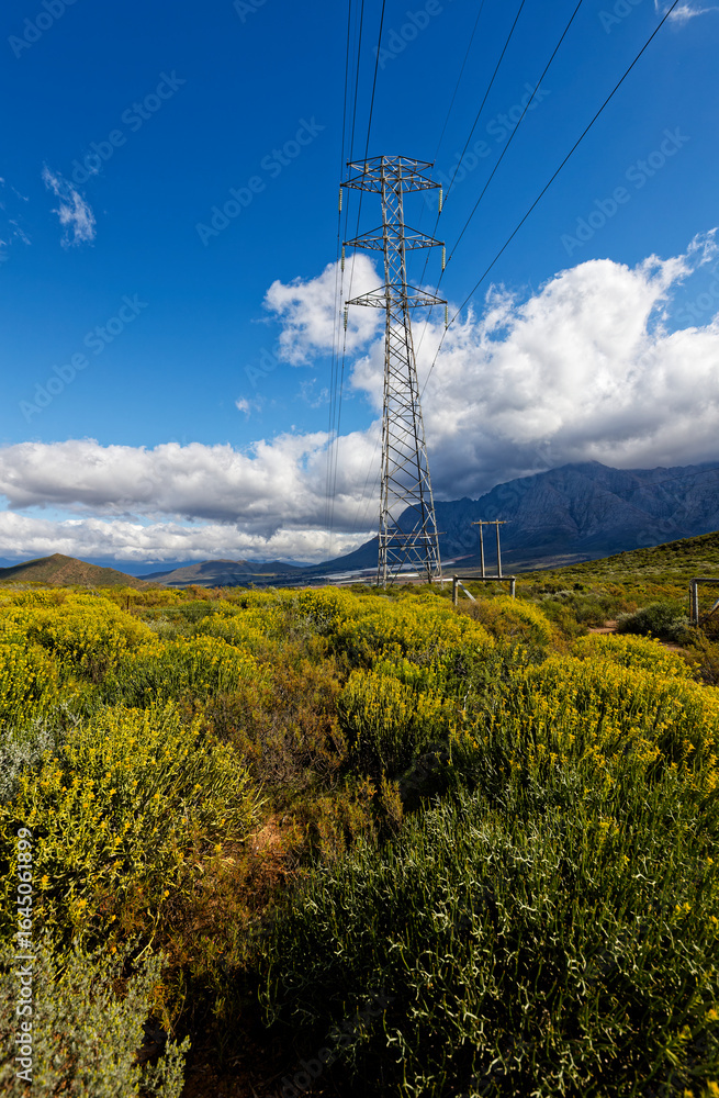 Obraz premium A view over the mountains around Worcester, Western Cape, South Africa, with electrical pylons in the foreground.