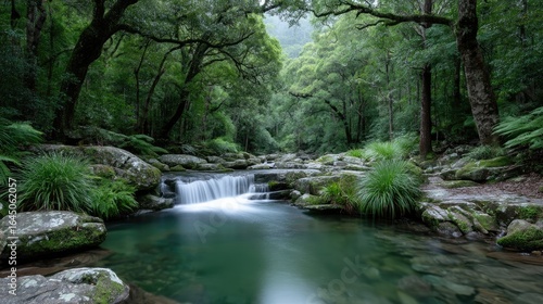 Tranquil Jungle Waterfall Scene with Lush Greenery
