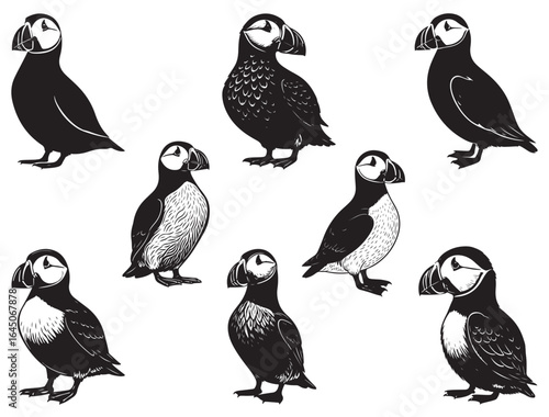 ICELANDIC PUFFINS SILHOUETTE