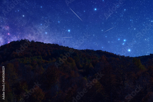 Milky Way stars and rural countryside tree silhouettes