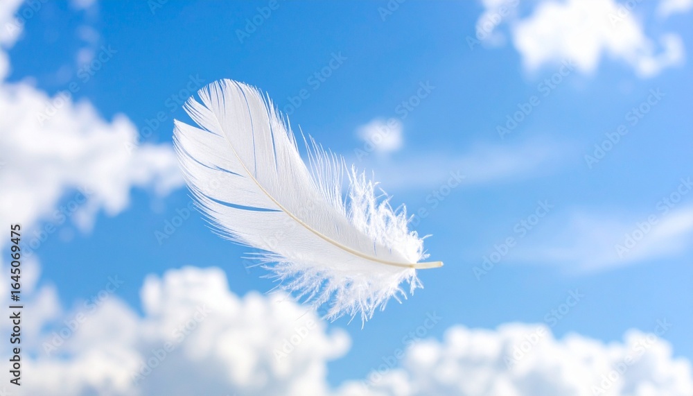 Naklejka premium white feather on blue sky
