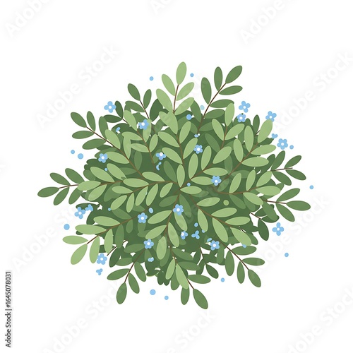 Top View of a Green Bush with Small Blue Flowers Illustration