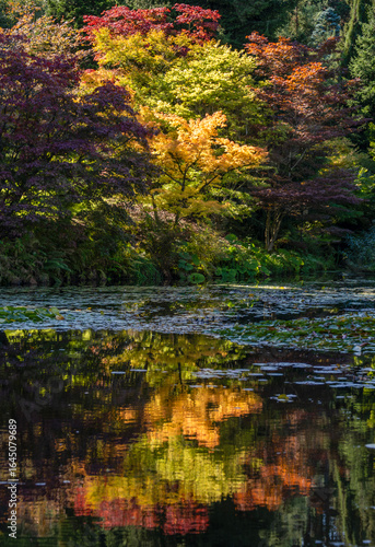 Vibrant autumn colors reflect on tranquil water in a serene natural setting