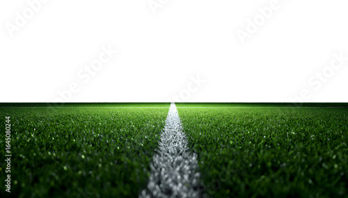 Green Grass Field with White Line Perspective on Horizon