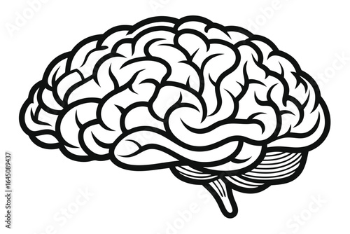 Black outline human brain illustration exhibiting intricate details on a clean white backdrop