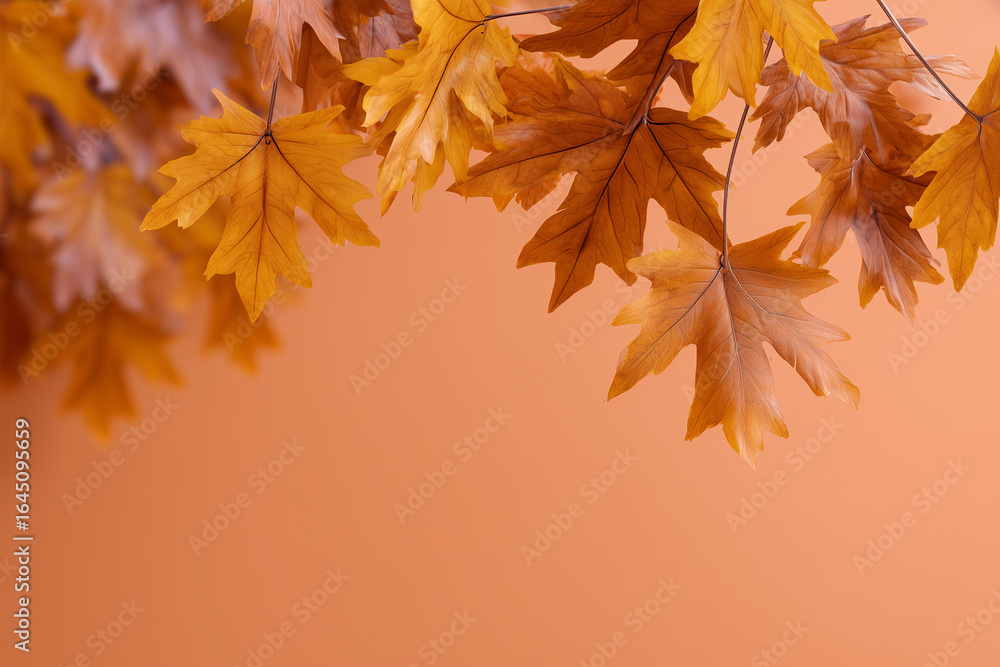 Fototapeta premium Frame of autumn maple leaves on monochrome background. Autumn background for advertisement with space for text. 