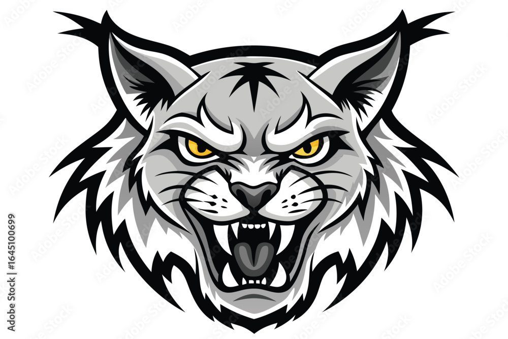 Fototapeta premium Angry bobcat roars fiercely showing its teeth in a against a white background
