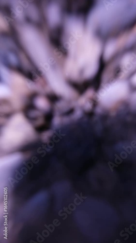 Wallpaper Mural Family on picnic near the river with their dog, Camera falling and lens filter breaking Torontodigital.ca