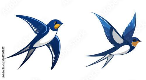 Set of swallow bird vector illustration design