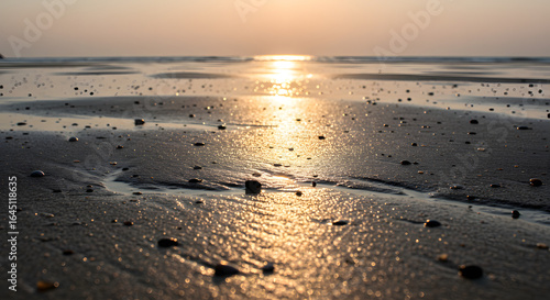 Wallpaper Mural Seashore at Sunset: The warm sun casts its golden glow on the tranquil waters of the seashore. The wet sand glimmers with the day's final moments, where the earth meets the horizon.  Torontodigital.ca