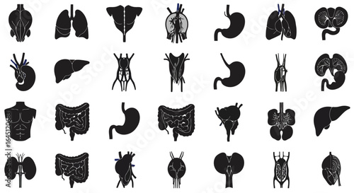 Collection of human organ silhouettes isolated on white background