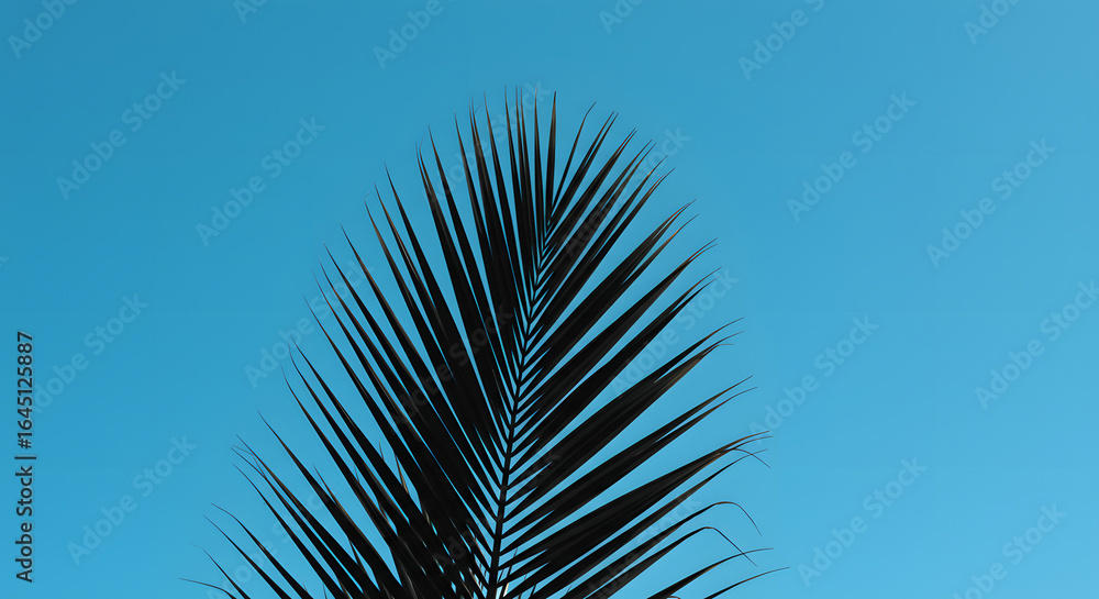 Fototapeta premium Palm Leaf Against Blue Sky: The intricate silhouette of a palm leaf, its fronds elegantly fanning out against a backdrop of vibrant blue sky, is an exquisite piece of nature's design, inviting peace.