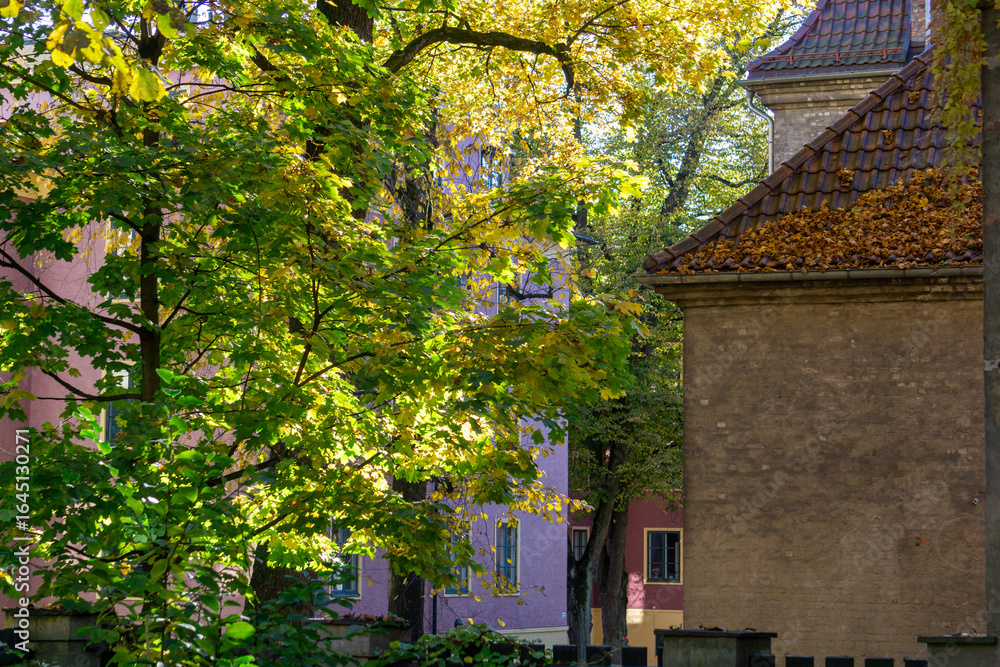 Naklejka premium Oslo, Frogner Neighbourhood. Melancholic Autumn Street Scene. 