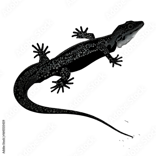 Black silhouette of a lizard on white background.