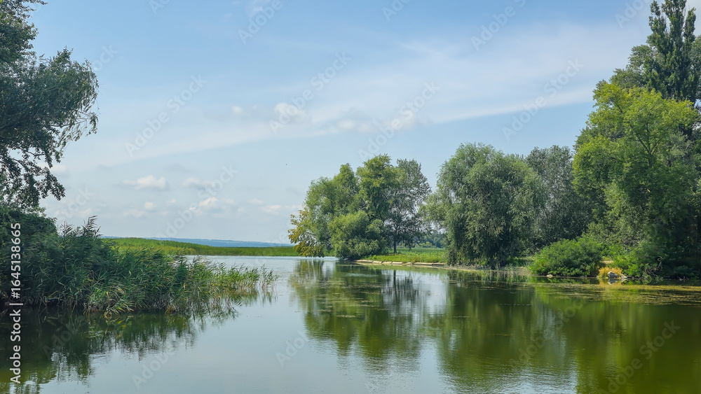 Obraz premium Summer river landscape with green trees, reflections and blue sky. Tourism