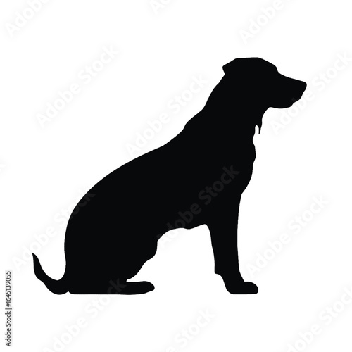 Black silhouette of a dog on white background.