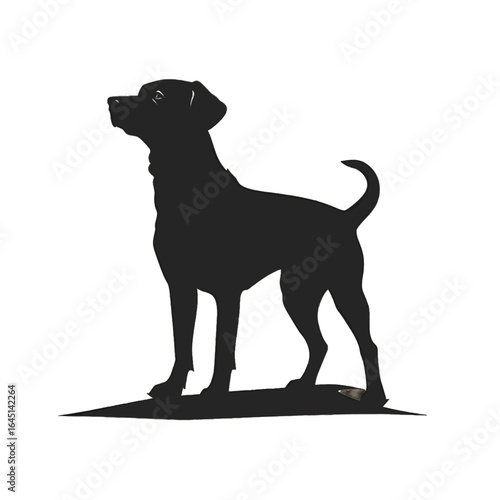 Black silhouette of a dog on white background.