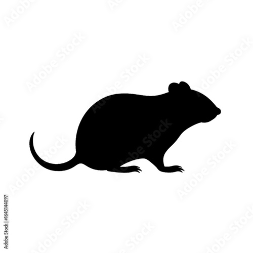 Black silhouette of a mouse, rat on white background.