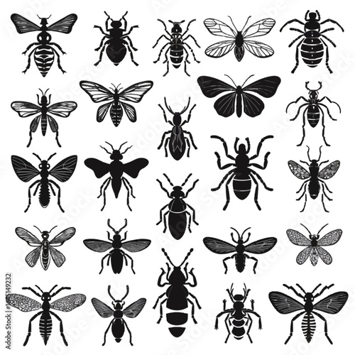 Black silhouette, tattoo of an insects on white isolated background. Vector.