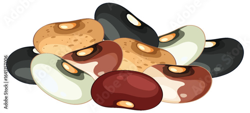 Assorted Mixed Beans Vector Illustration on White Background