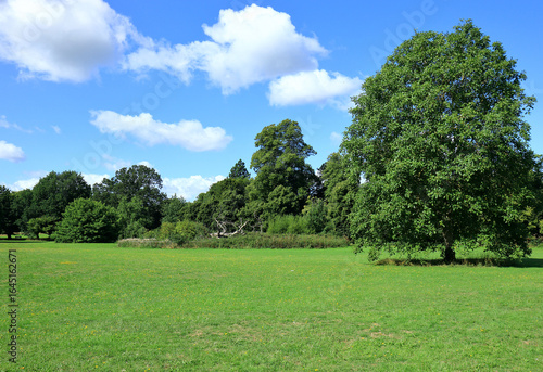 A hot summers day in Camer Park