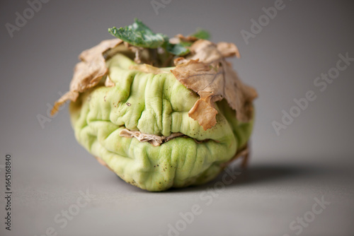 Studioaufnahme eines eingetrockneten Kohlrabis