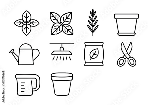 Indoor Herb Icon Set. Outline icon set of growing aromatic herbs indoors: basil plant, mint leaves, rosemary