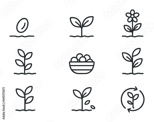 Plant Growth Icons. Outline icon set of plant growth stages: seed, sprout, young plant, flowering herb, mature