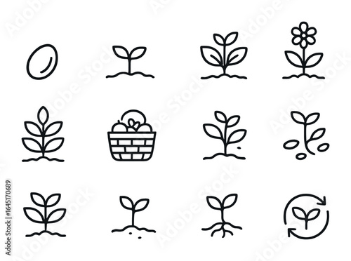 Plant Growth Icons. Outline icon set of plant growth stages: seed, sprout, young plant, flowering herb, mature