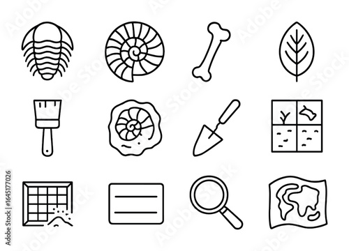 Fossil Collection Icons. Outline vector icons of fossil collecting: trilobite, ammonite, dinosaur bone, leaf