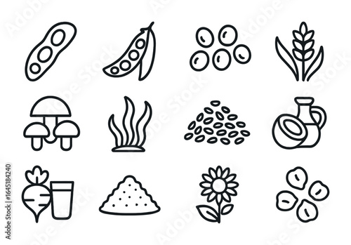 Meat Substitute Icon Set. Outline icon set of meat substitute ingredients: soybeans, peas, mung beans, wheat