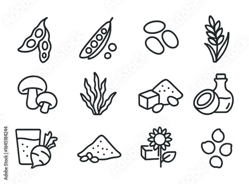 Meat Substitute Icon Set. Outline icon set of meat substitute ingredients: soybeans, peas, mung beans, wheat