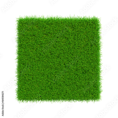 Fresh Green Square of Grass: A vibrant square of lush green grass, offering a fresh and textured view of the natural world. This square encapsulates the essence of vitality and growth.