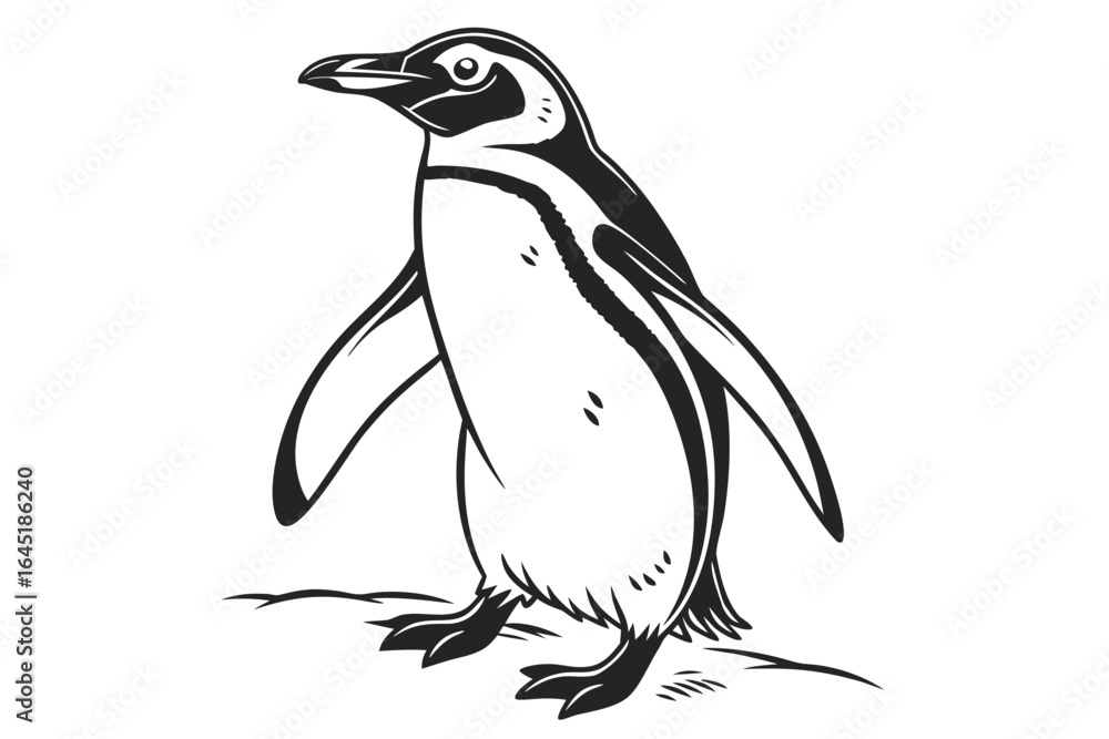 Fototapeta premium Illustration of a penguin isolated on white background in black and white